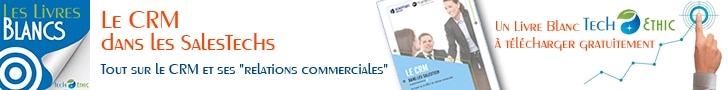livre blanc CRM 2022