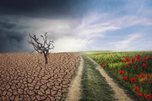 changement climatique